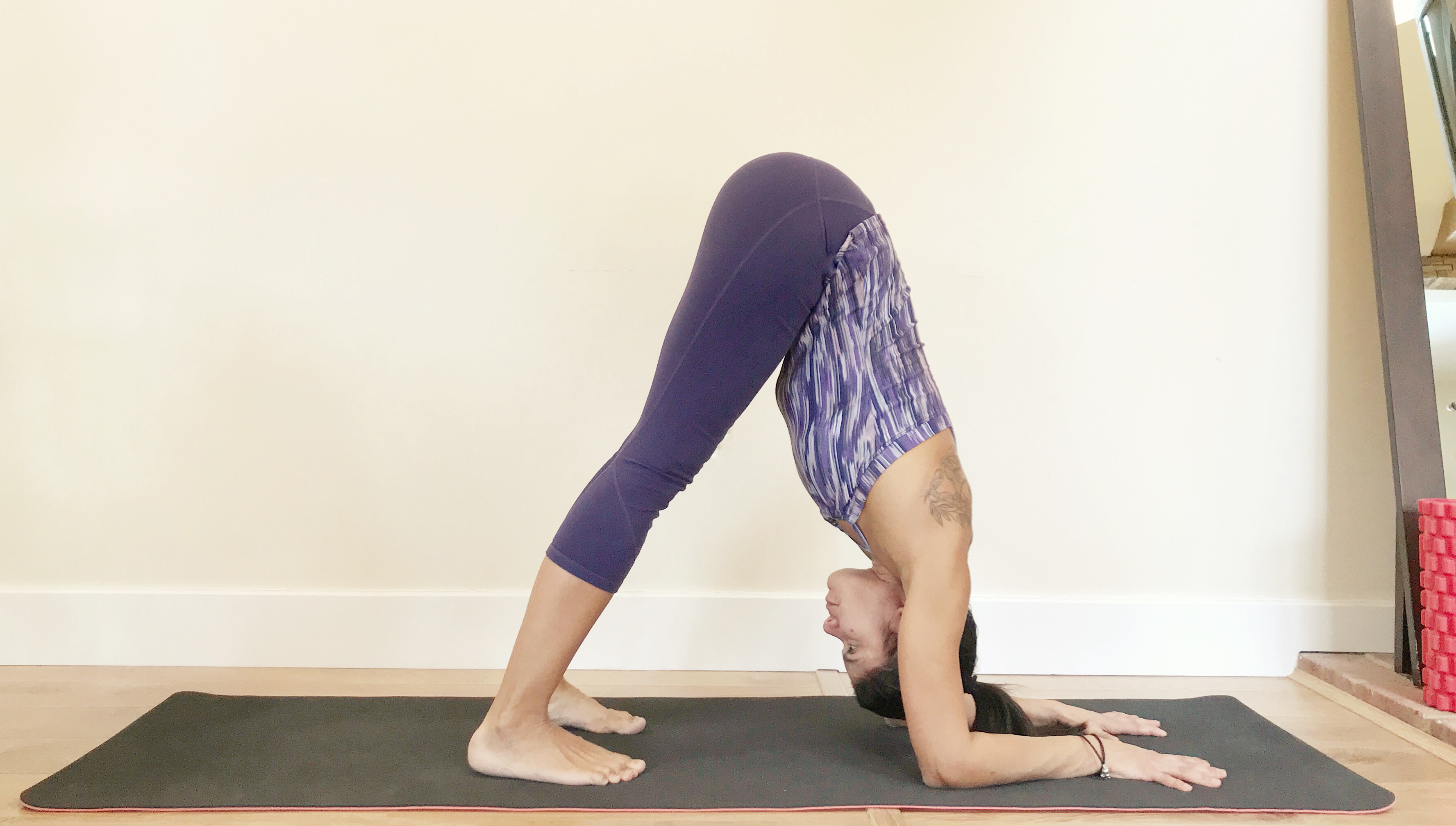 Dolphin Sandra Berlin